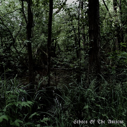 ᴄᴏᴠᴇɴ ᴏꜰ ᴛʜᴇ ꜱᴡᴀᴍᴩ - yᴇᴀʀ ᴏꜰ ᴛʜᴇ ʀᴀɪɴ