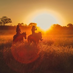 Horse like me