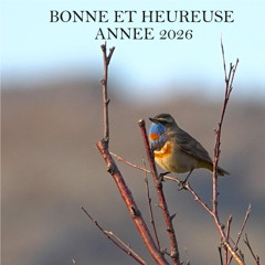 VOEUX 2026_Fernand DEROUSSEN_