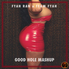 Good Hole Mashup (320kbps)