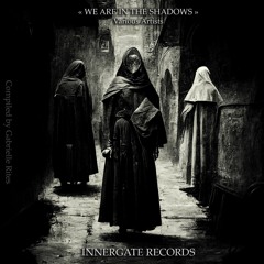 Hard Techno "WE ARE IN THE SHADOWS" INNERGRATE RECORDS ALBUM MIX