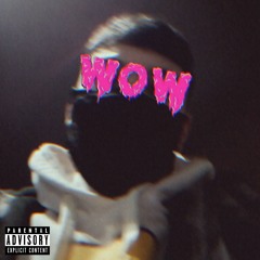 malditojoaquin - wow wow