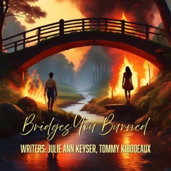 Bridges You Burned - Demo