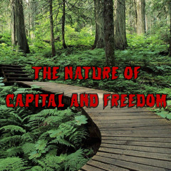 429. The Nature of Capital and Freedom (ft. Alyssa Battistoni)
