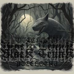 BLACKTRUNK - 212bpm