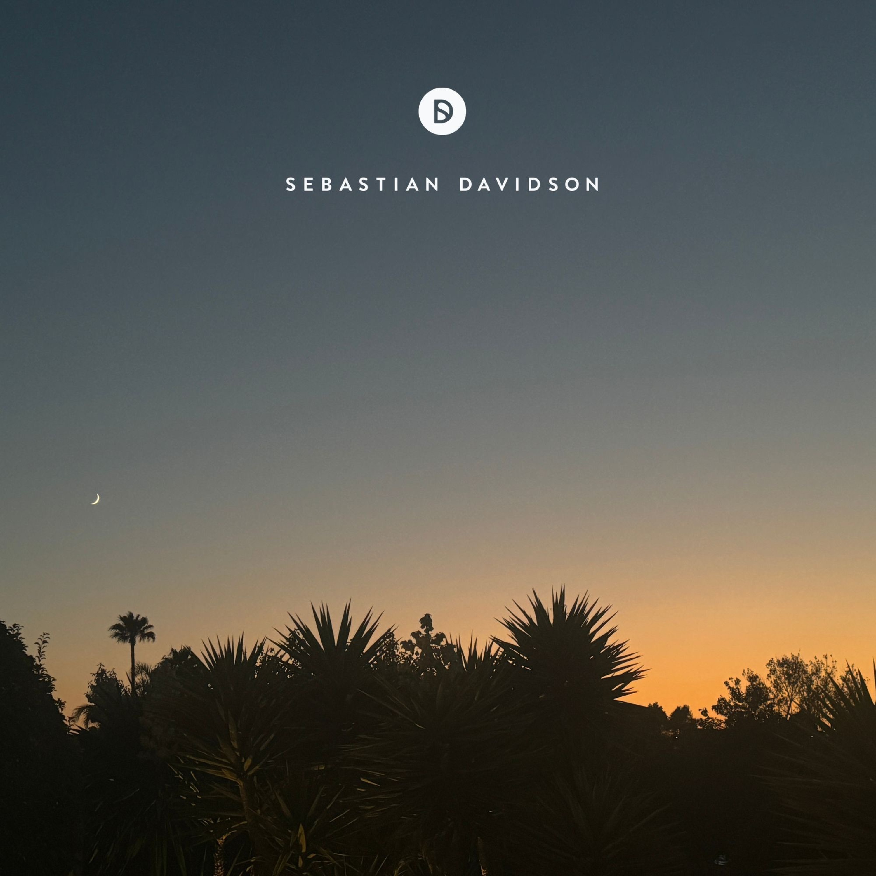 Voyage of Discovery by Sebastian Davidson