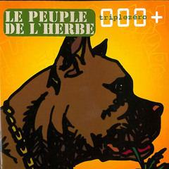 Reggaematic