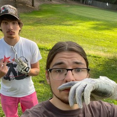 FTB