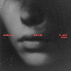 Nadia Ali - Rapture (DJ Hood Remix)