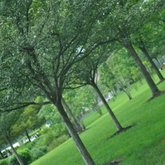 Florida x Lil Poody x Type Beat *The Talk Pt. 1*