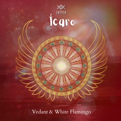Dédalo - Vedant & White Flamingo