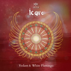 Icaro - Vedant & White Flamingo