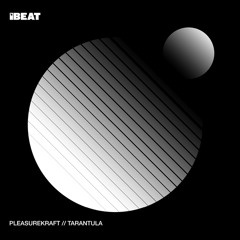 Tarantula (7 Year Itch Rework)