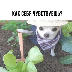 это возмутительно с вашей стороны