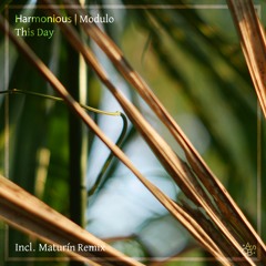 LTR Premiere: Harmonious & Modulo - This Day (Original Mix) [A Soul On Board]