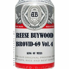 BROVID-69 Vol.4  IG:reesesellwood