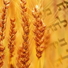 Tikkun Leil Shavuot 5781: All Night Torah Study (Zoom Event) (Part 2)