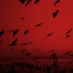 sharukenas - kaltas ruduo ft. moveliketheocean