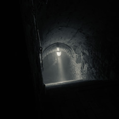 CARBIN / Paralysum - Halle