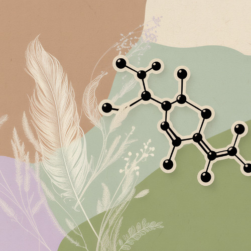 C'est quoi l'histamine et l'histaminose ???