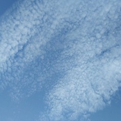 Idiots _ မင်းနဲ့တွေ့ရတဲ့အတွက်ဝမ်းသာတယ်