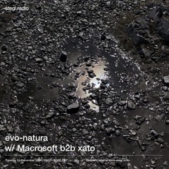 Stegi | evo-natura with Macrosoft b2b xato ― 24 December 2024