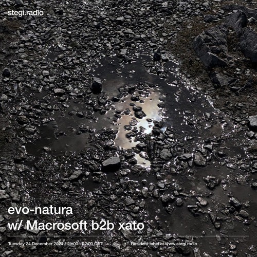 Stegi | evo-natura with Macrosoft b2b xato ― 24 December 2024