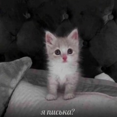 Untitled Playlist