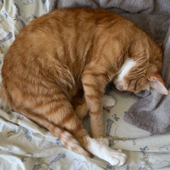 Im in my head again (Frenchcore)