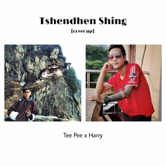 Tshendhen Shing_Tee Pee x Harry