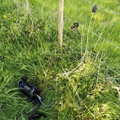 Fence #001