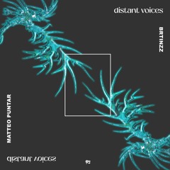 Brtinzz, Matteo Puntar- Distant Voices