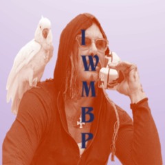 I Want My Bird Podcast Theme (for Jim Lewis)