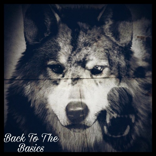 Back To The Basics (Prod. Wlodar)