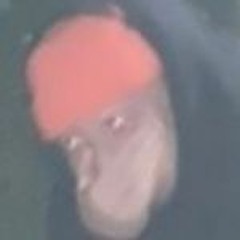 SEE ME (WARDUB)