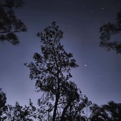 Nocturne In Em