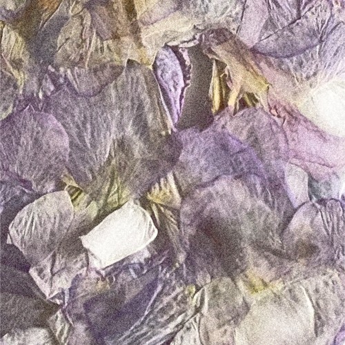 Waiting For You - Single