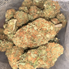 Backwoods Ace-Cheech and Chong