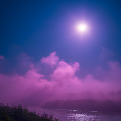 Phosphorescence - Soprano, Bass Clarinet & Piano (2023)