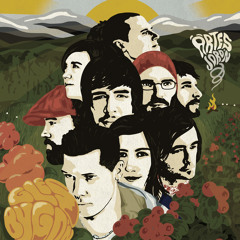 Roots