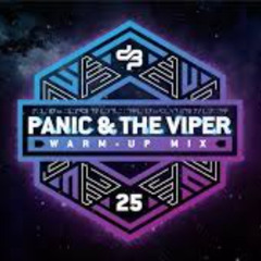 PANIC & THE VIPER  DECIBEL OUTDOOR 2025 WARM-UP MIX