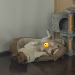 Session 1 // sojii DJ Set