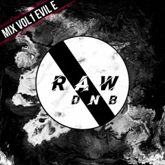 RAWDNB MIX VOL 1 EVIL E