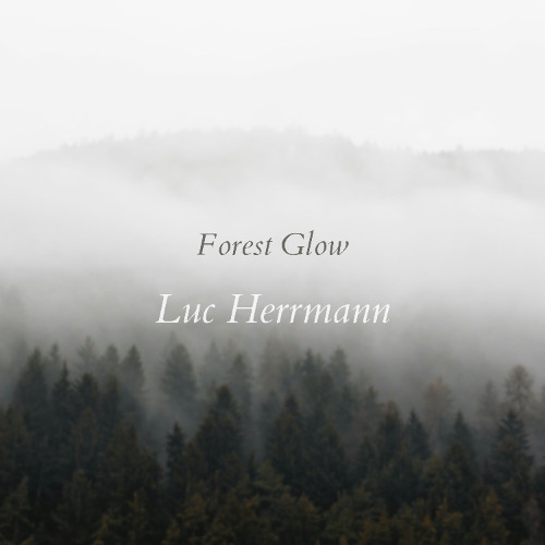 Forest Glow