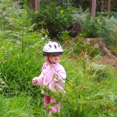 The New Forest is an idyllic woodland home, by Tallulah Binder