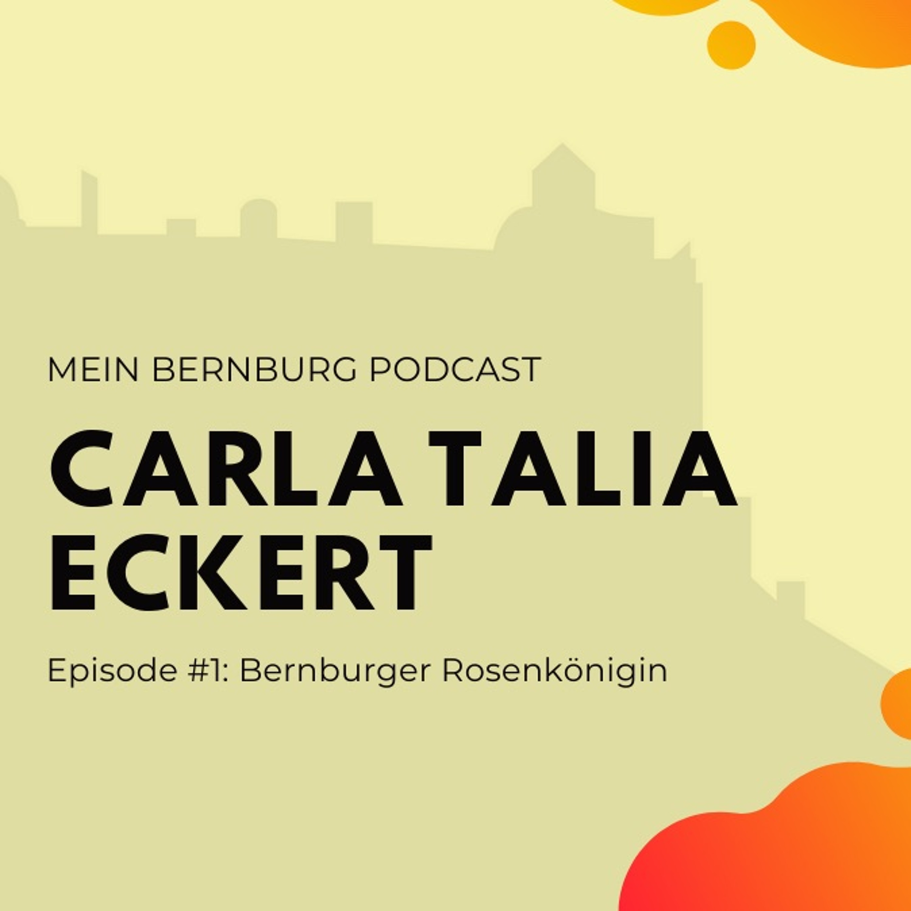 Mein Bernburg Podcast - Dein Podcast über Bernburg