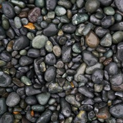 El Hombre Que Cuidaba Sus Piedras