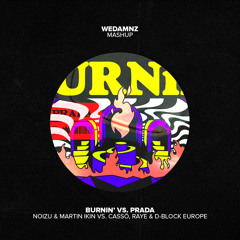Noizu & Martin Ikin vs. cassö, RAYE & D-Block Europe - Burnin' vs. Prada (WeDamnz Mashup)