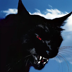 Soneto de fidelidade