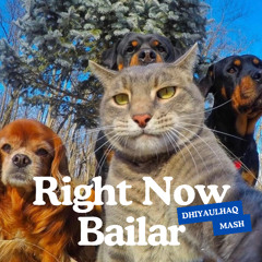 Right Now Bailar (Dhiyaulhaq Mashup) *PREVIEW*